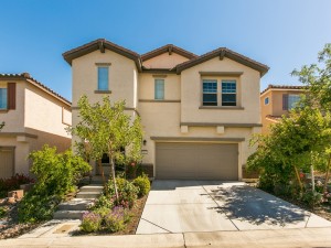 Madeira Canyon 2632 Courgette Way 1