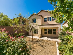 Madeira Canyon 2632 Courgette Way 4